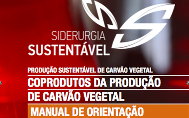 Os múltiplos usos do carvão vegetal