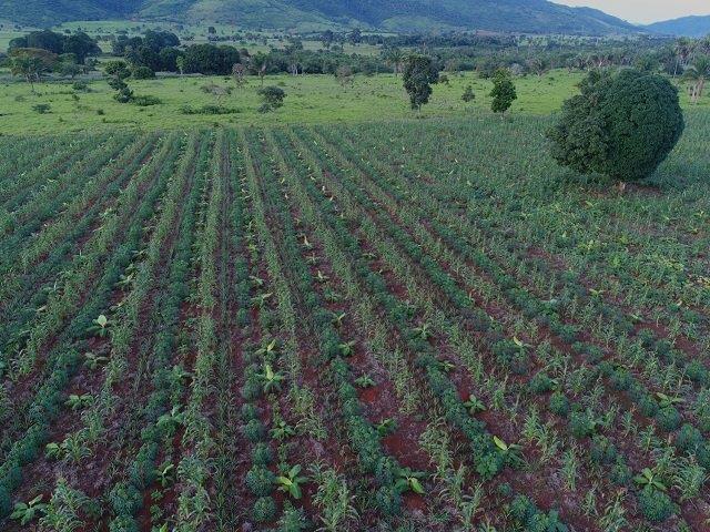 Apoio a Sustentabilidade