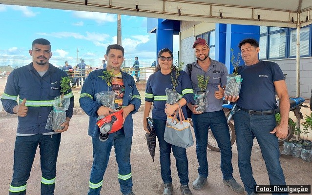 SINOBRAS e o dia do meio ambiente