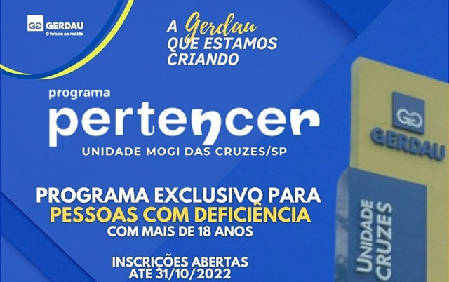 Gerdau e seu papel social