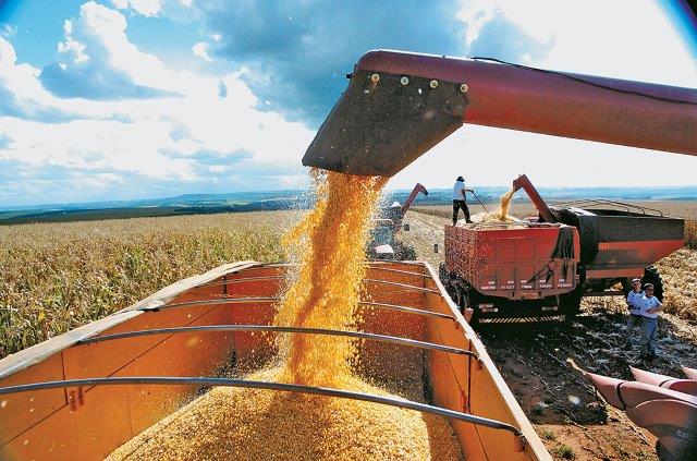 Agro paulista é modelo de sucesso para o Brasil