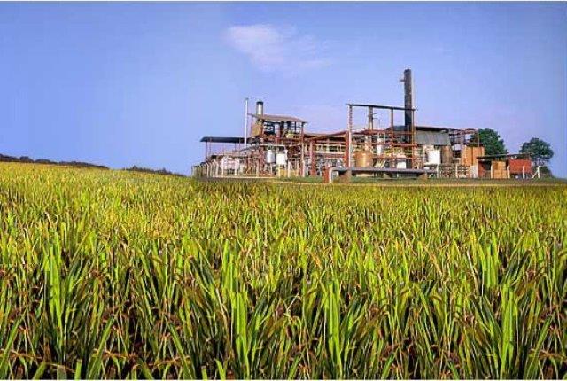 BNDES financia produção de etanol