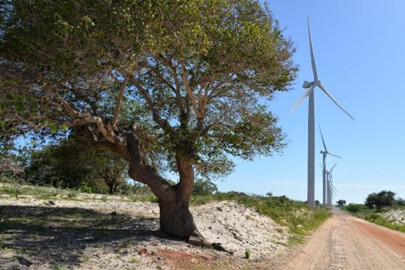 O avanço da Energia Eólica