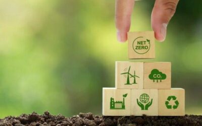 Brasil pode liderar o mercado de carbono, mas precisa agir agora