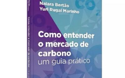 Perspectivas para o mercado de carbono brasileiro