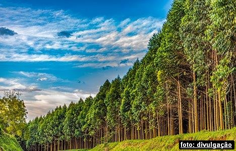 O futuro do aço é sustentável – e já começou