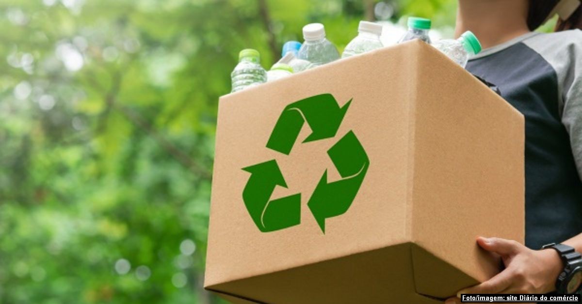 Povo brasileiro possui conscientização ambiental