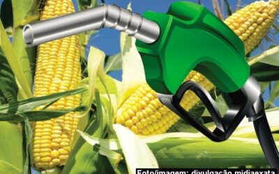 O avanço dos Bio-Combustíveis no Brasil