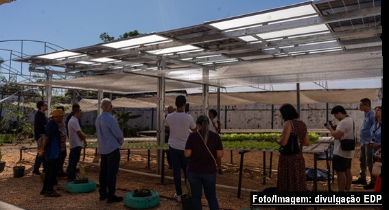 Energia solar fortalece projeto social