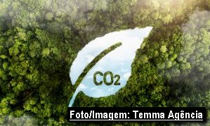Satélites reforçam controle de créditos de carbono