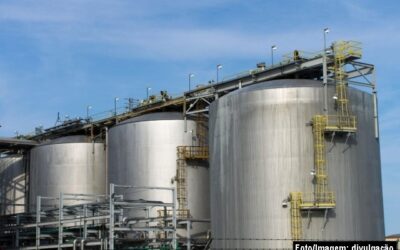 Etanol de cereais inaugura nova fase da bioenergia brasileira